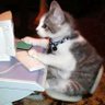 T氏 profil fotoğrafı