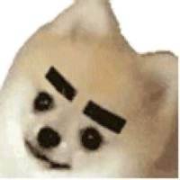 Lee11972180's profile picture