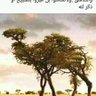 محمد 的头像