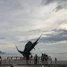 Mike v(fo) 的头像