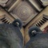 Nut's profile picture