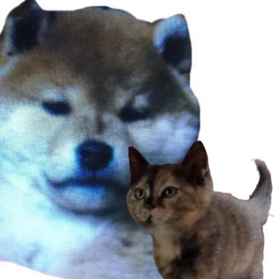 波's profile picture