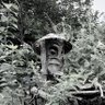 Let's_Explore's profile picture