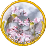 カモミラ profil fotoğrafı