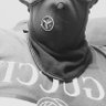 Profilbild von Hsaini
