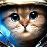 Profilbild von GalaxyBear
