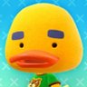oatie 的头像