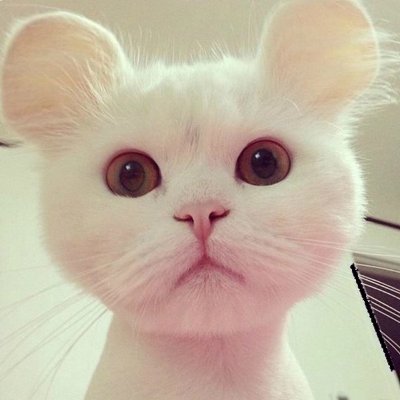 ChannelInteres's profile picture
