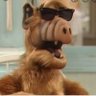 ALF RED's profile picture