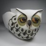 Mary Loves Owls's profile picture