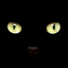 Profilbild von DissonantCat