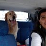 TC#AtaKızı#1923# 🇹🇷🐺🐕♥️🐈 的头像