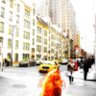 Shelly Kay*eras tour N1 Metlife's profile picture