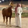عبدالله ماجدالحقباني's profile picture