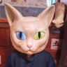 きみ profil fotoğrafı
