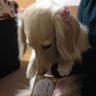 yurika's profile picture