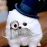 solez's profile picture
