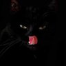 Doremifa65's profile picture