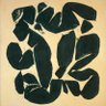 Bougainville's profile picture