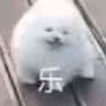翻斗花园胡图图 的头像