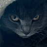 Profilbild von Grumpy Programmer