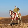 ياسر's profile picture