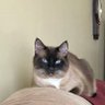 Фото профиля Lenore Kinzenbaw