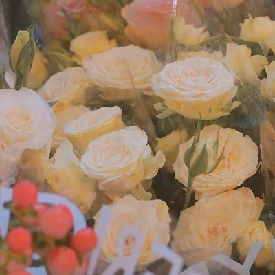 XiYue_1's profile picture