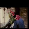 野生樱花兽 profil fotoğrafı