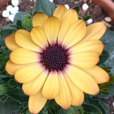 E47162381's profile picture