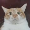 juggacg's profile picture