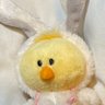 Profilbild von ピリピリ子