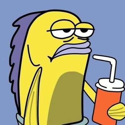 begumdegill's profile picture