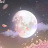 夜月 SAKURA 的头像