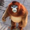 Profilbild von brandon*