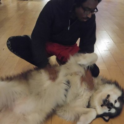 EliTheCurry's profile picture