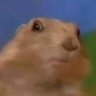 Profilbild von Hi Hello