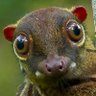 𝕻𝖆𝖗𝖆𝖘𝖔𝖈𝖎𝖆𝖑𝖎𝖙𝖞 profil fotoğrafı