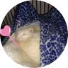 Profilbild von ほしほし