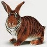 Haba-Art's profile picture