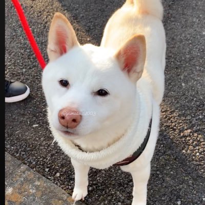 か な's profile picture