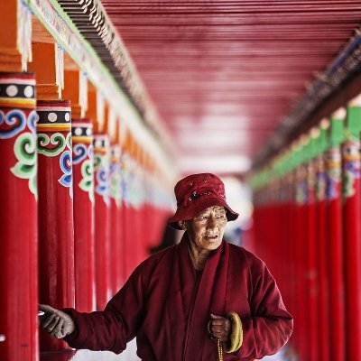 BuddhismTibet's profile picture