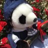 T-chief(てぃーちーふと読む)🌟🍼's profile picture