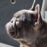 Profilbild von John