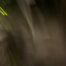 ma profil fotoğrafı