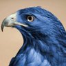 TheAzureHawk's profile picture