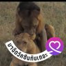 Фото профиля ชายแท้รักสนุก