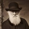 Фото профиля Darwin