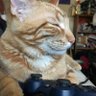 Profilbild von Smart665_