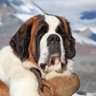 Profilbild von Dennis Plyer